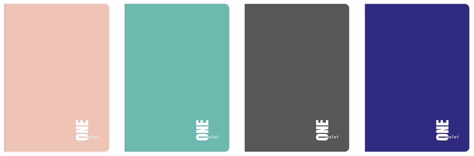 Зошит А5 32 аркушів клітинка Interdruk One Color  15130