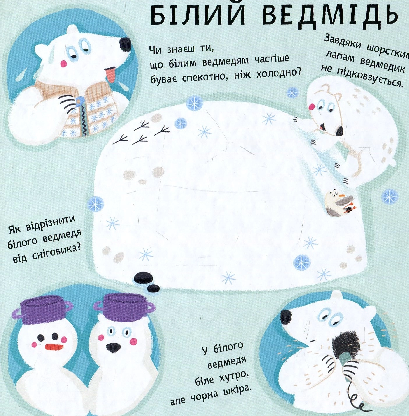 Книга Пікабу Тваринки в кольорових одежинках 266337