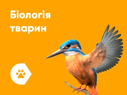 Програмне забезпечення Corinth 3D біологія тварин та палеонтологія (1 рік, 1 користувач)