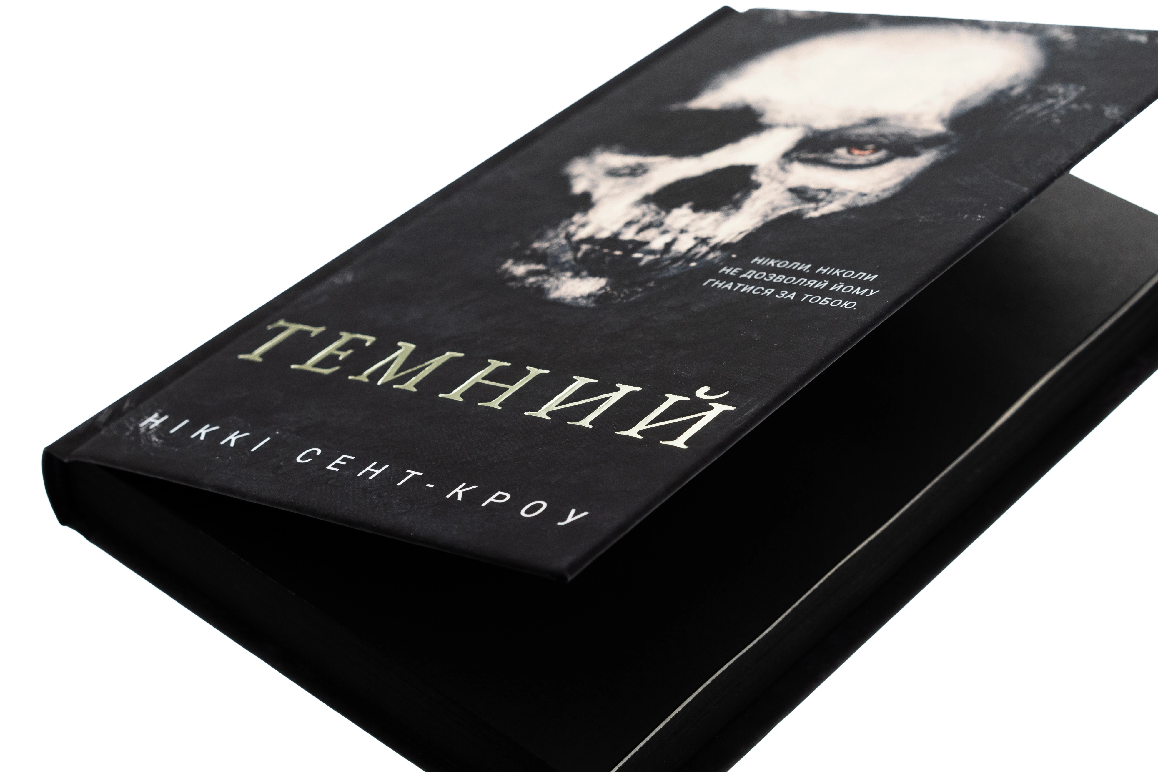 Книга Розпусні загублені хлопці. Книга 2. Темний — фото 2