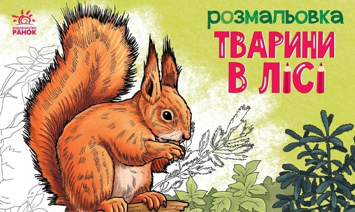 Розмальовка Тварини : Тварини в лісі (у)