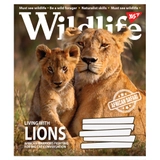 Зошит 48 аркушів клітинка YES Wild life 766011