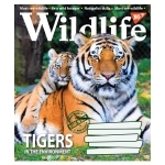 Зошит 48 аркушів клітинка YES Wild life 766011