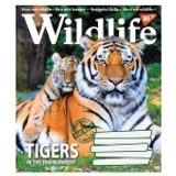 Зошит 48 аркушів клітинка YES Wild life 766011