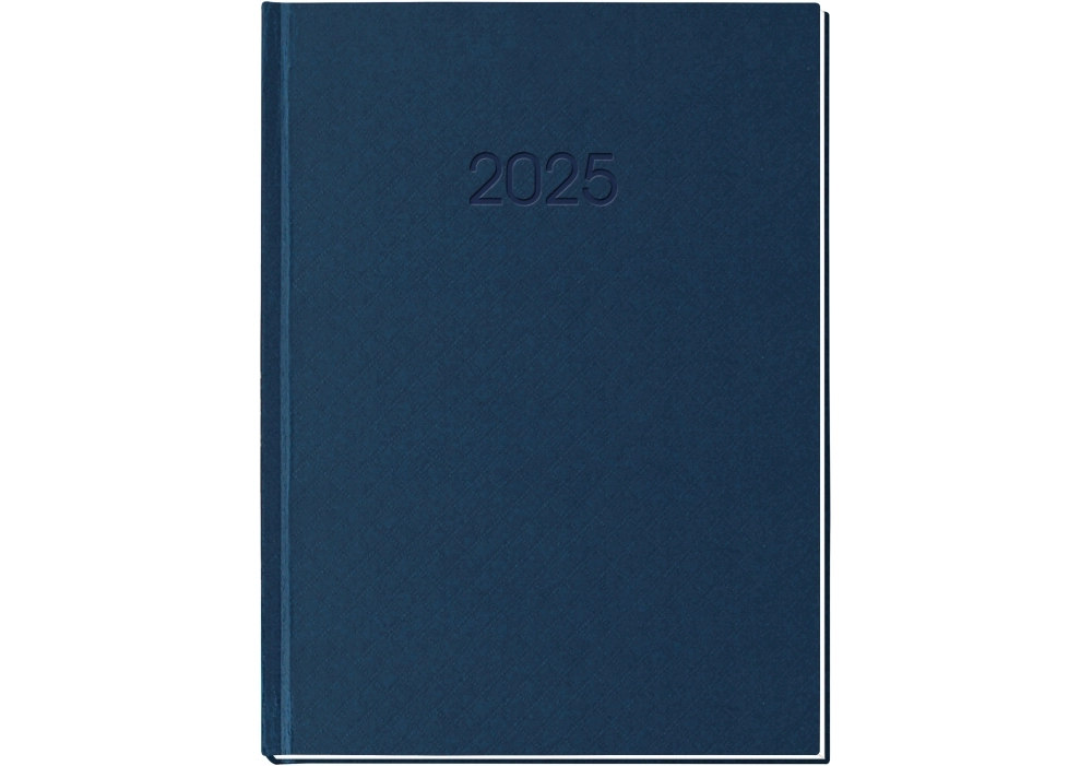Щоденник датований А5 2025 Economix Клітинка синій E21609-02