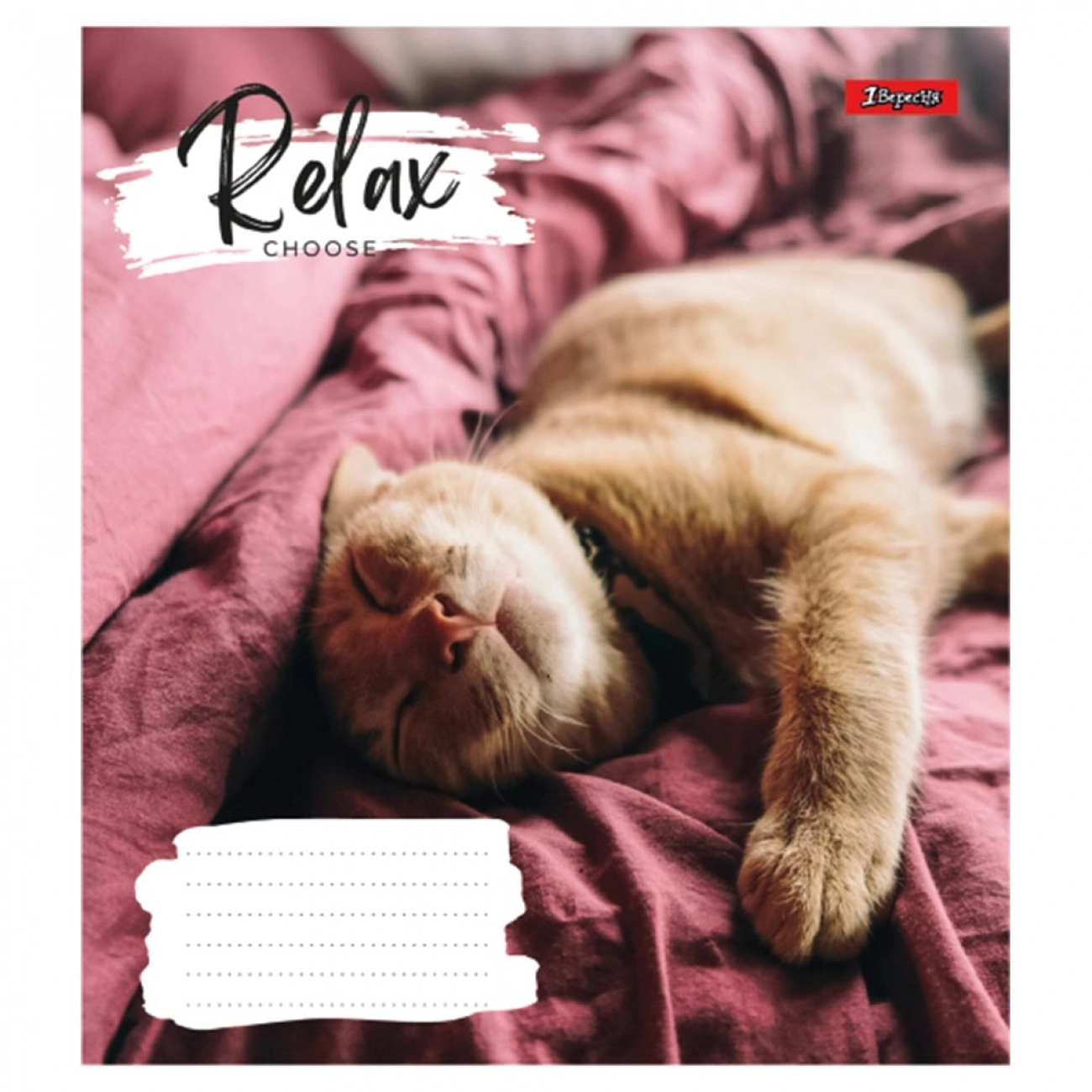 Зошит 48 аркушів клітинка 1 Вересня Relax choose 766711