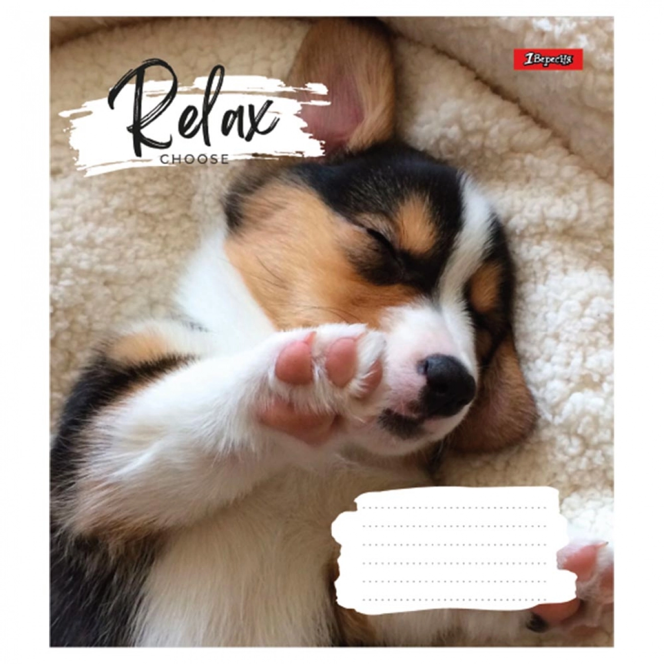 Зошит 48 аркушів клітинка 1 Вересня Relax choose 766711