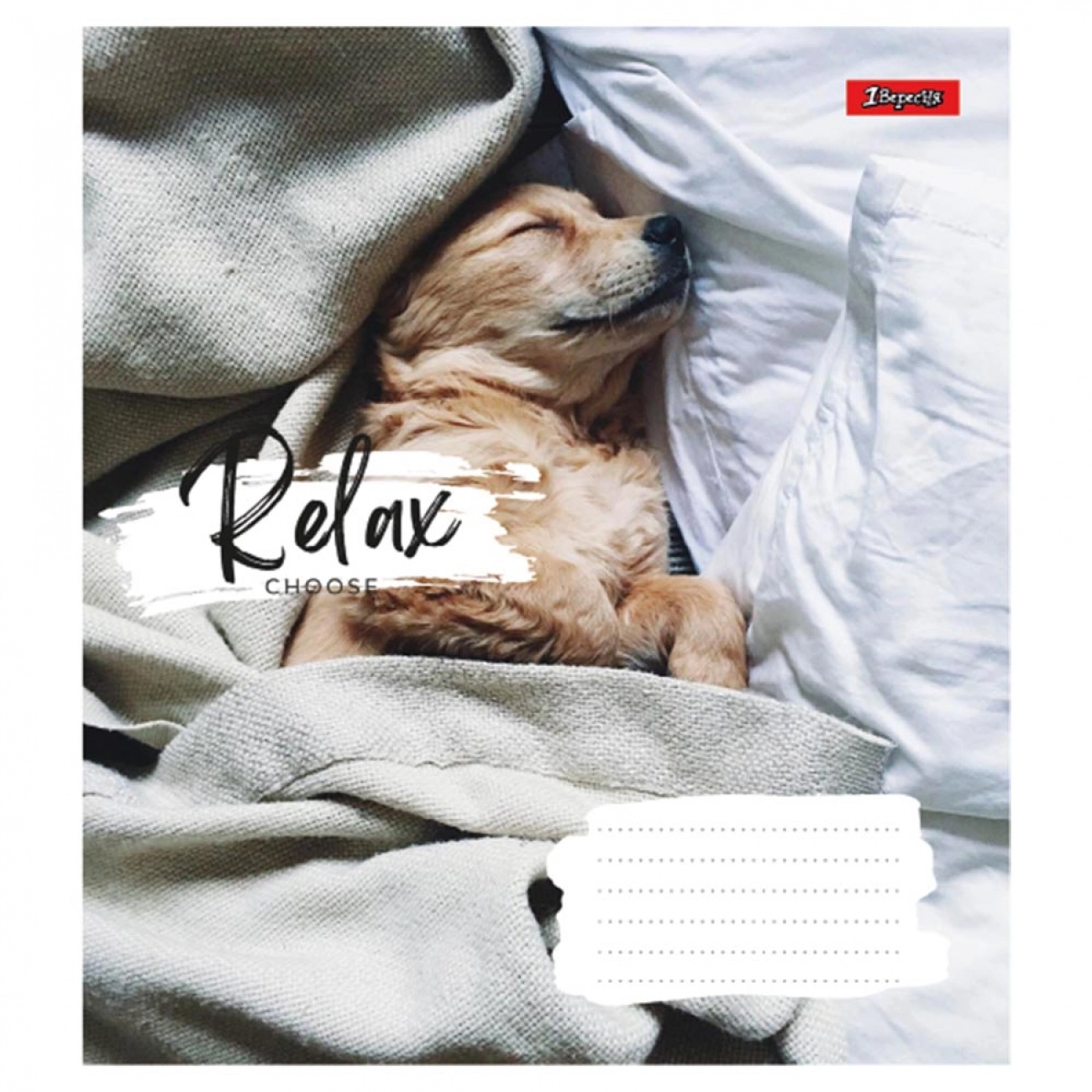 Зошит 48 аркушів клітинка 1 Вересня Relax choose 766711