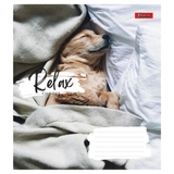 Зошит 48 аркушів клітинка 1 Вересня Relax choose 766711
