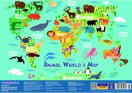 Підкладка для столу Animal Worlds Map COOLFORSCHOOL CF61480-05
