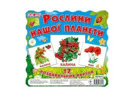 Картки міні Рослини нашої планети 13107006У