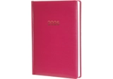 Щоденник датований А5 2025 Economix Spectrum бордовий E21847