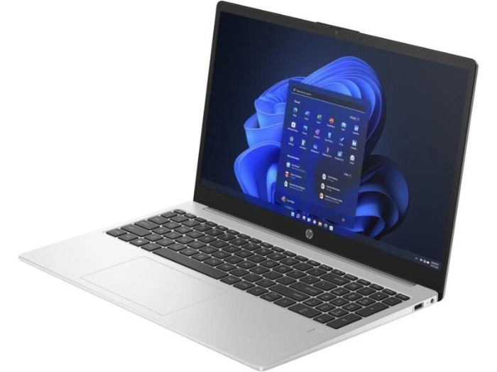 Ноутбук HP 255-G10 (9G8F3ES)