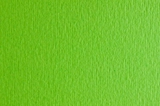 Папір для дизайну Elle Erre А3 (29,7*42см), №10 verde picello, 220г/м2, салатовий, Fabriano