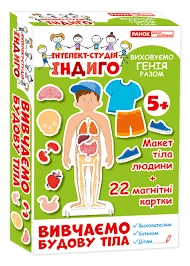 Індиго Вивчаємо будову тіла 13109081У