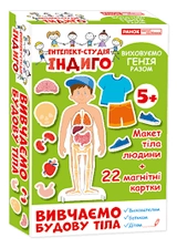 Індиго Вивчаємо будову тіла 13109081У