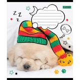 Зошит 18 лін. 1В Sweet dreams