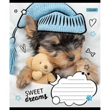 Зошит 18 лін. 1В Sweet dreams