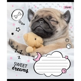 Зошит 18 лін. 1В Sweet dreams