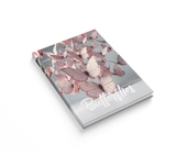 Книга обліку А4 Аркуш 176 аркушів клітинка 1В3444 Метелики