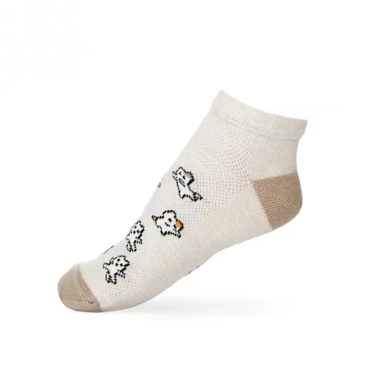 Шкарпетка слідок Міні-котики 22-24 Молочний меланж V&T ШДС 024-1231-2