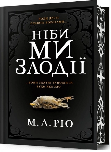Книга Ніби ми злодії limited edition Артбукс
