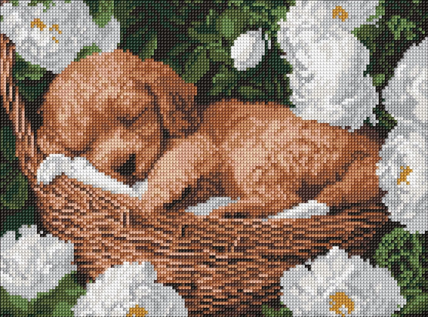 Алмазна мозаїка Ідейка на підрамнику Сплячий пудель 30x40см 8170