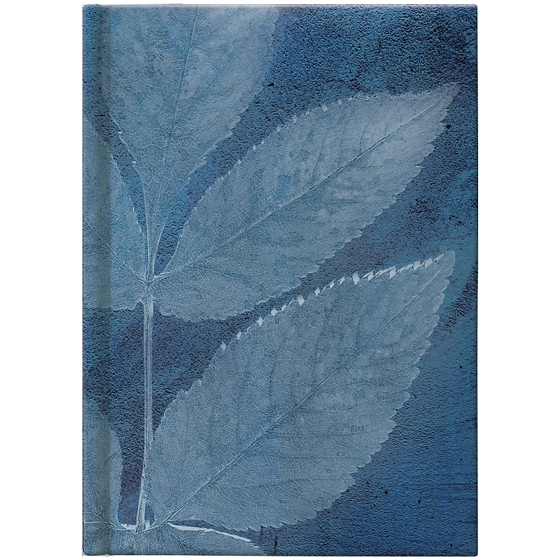 Щоденник 2022 кишеньковий Графо Leaves