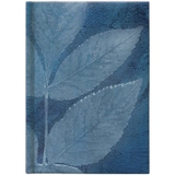 Щоденник 2022 кишеньковий Графо Leaves