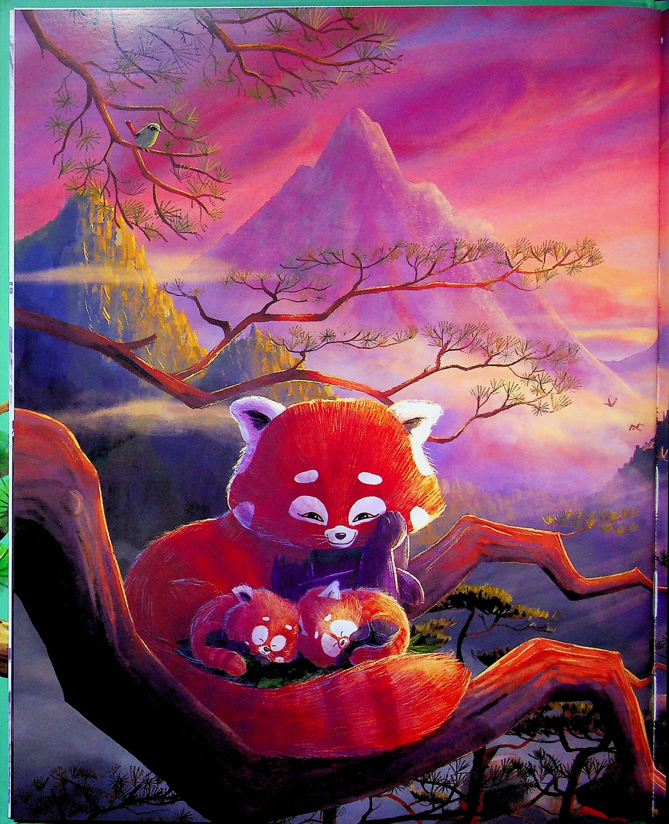 Книга Як панди-малята навчились обіцяти — фото 3