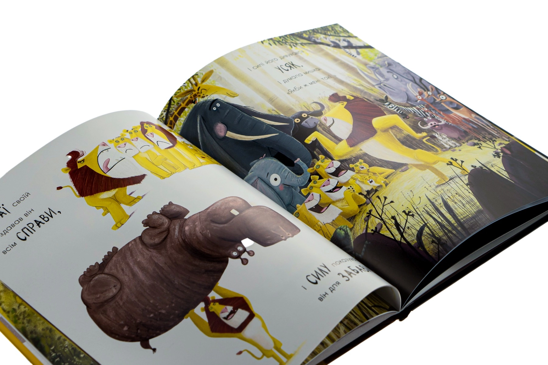 Книга Як знайти лева — фото 2