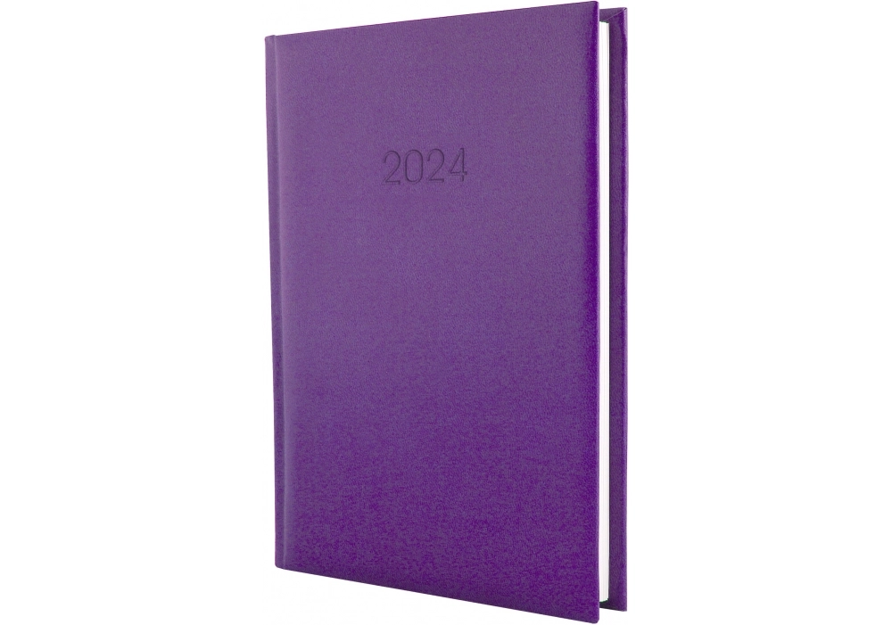 Щоденник датований ECONOMIX А5 2024 PRINCIPE бузковий E21690-12 Щоденник датований ECONOMIX А5 2024 PRINCIPE бузковий E21690-12