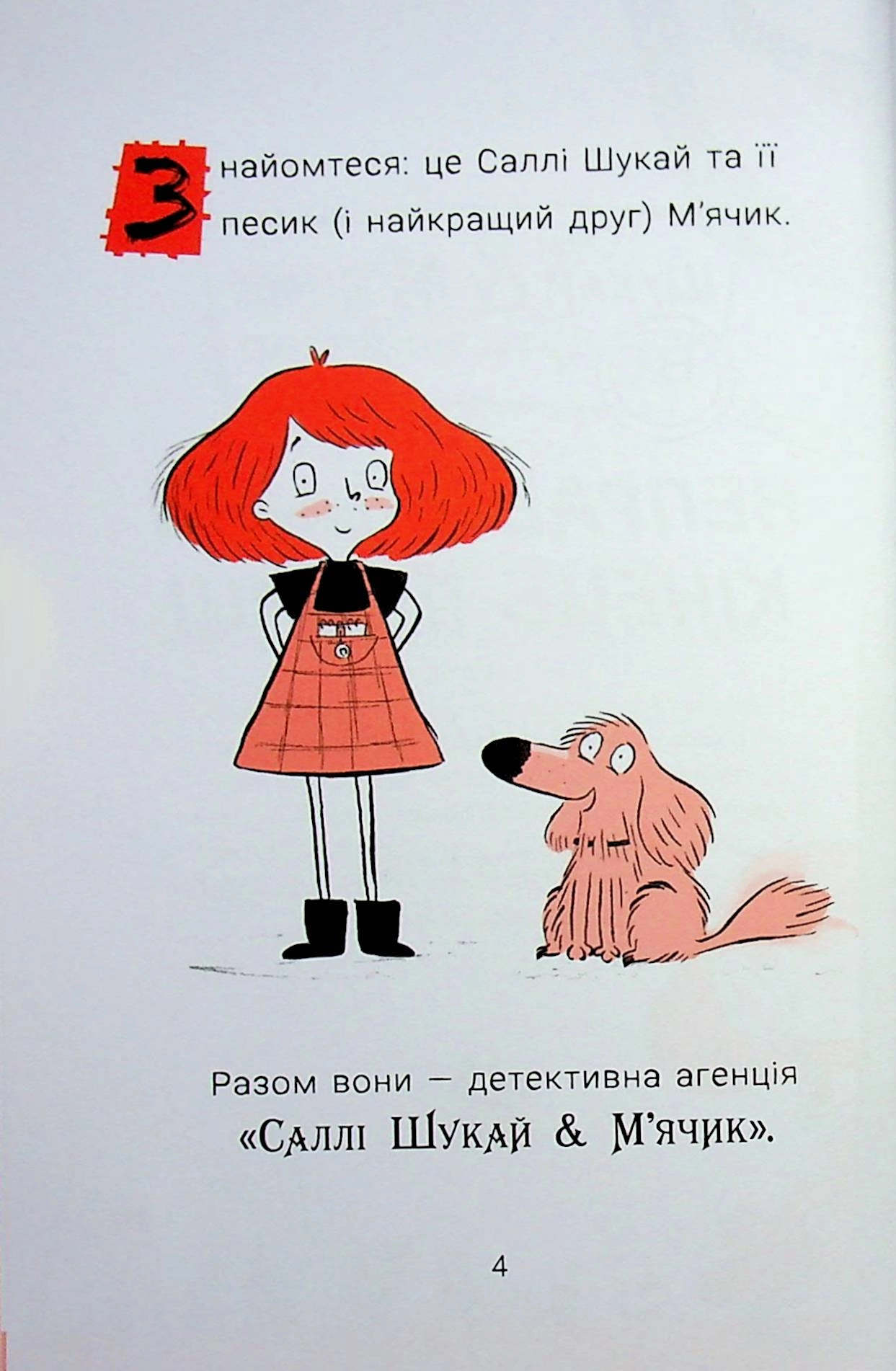 Книга Саллі Шукай і М`ячик ведуть слідство Неправильний кінець палиці — фото 3