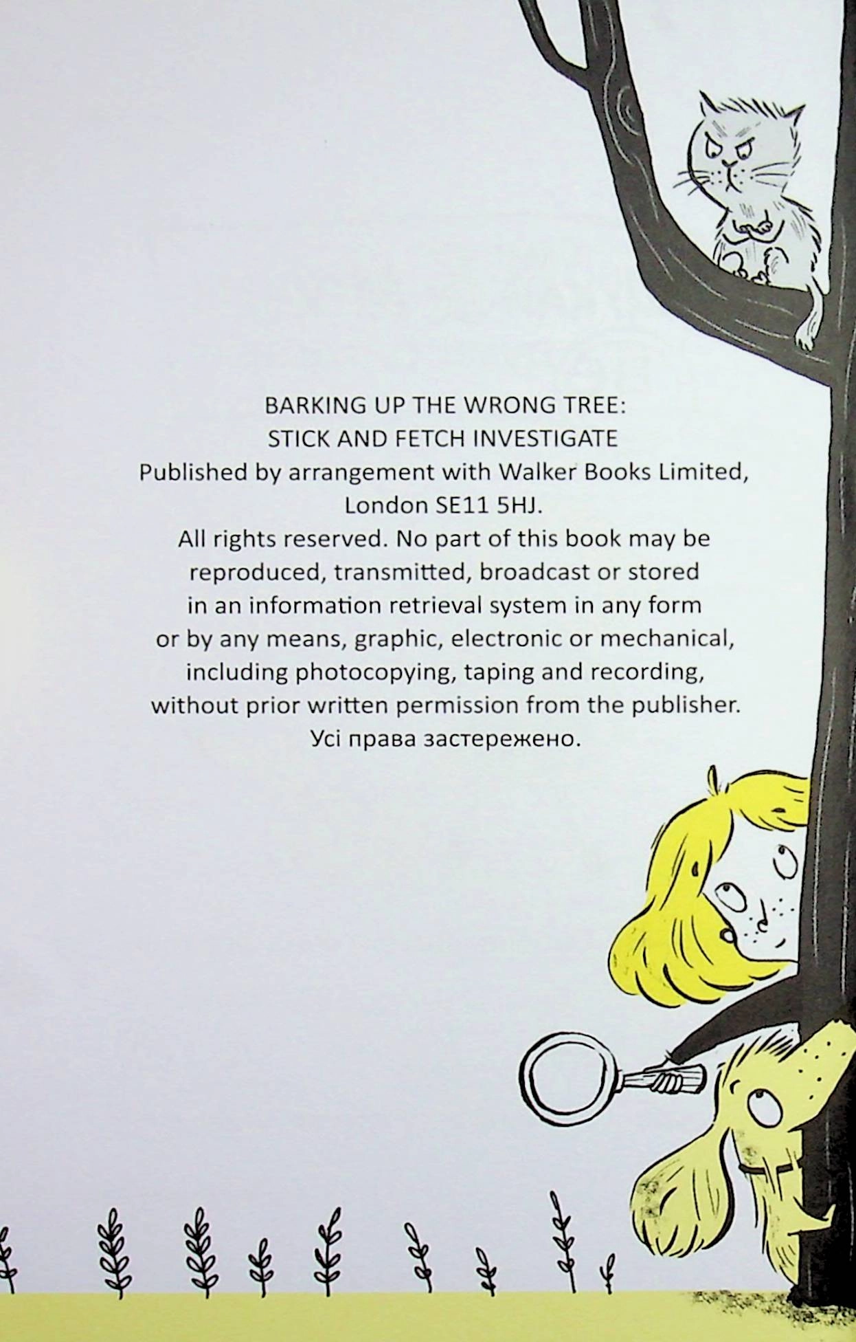 Книга Саллі Шукай і М`ячик ведуть слідство Ніс за вітром — фото 2