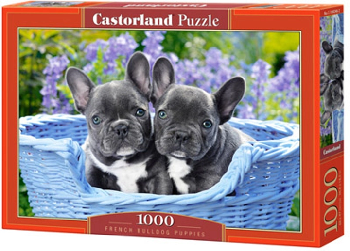 Пазли Castorland 1000 деталей Цуценя французького бульдога C-104246