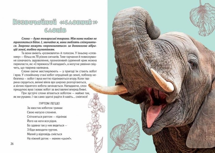 Вусохвості й лапокрилі. Читанка про тварин