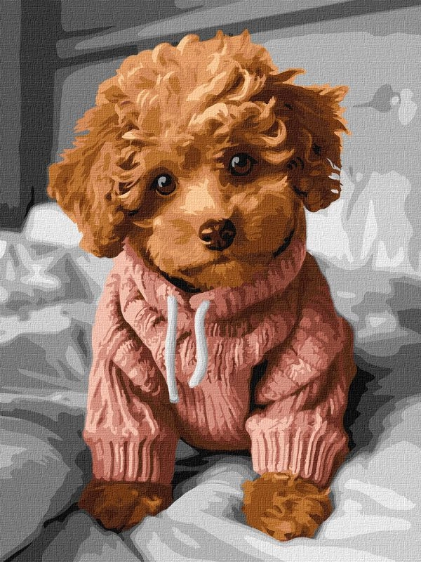 Картини за номерами Ідейка Чарівний мальтіпу 30х40см 6589