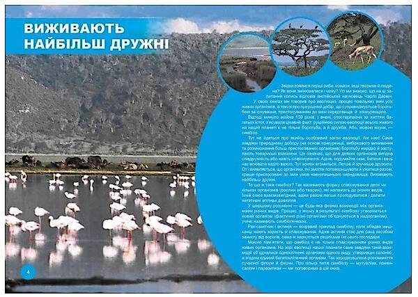 Хто з ким дружить, або дивовижі симбіозу