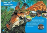 Хто з ким дружить, або дивовижі симбіозу