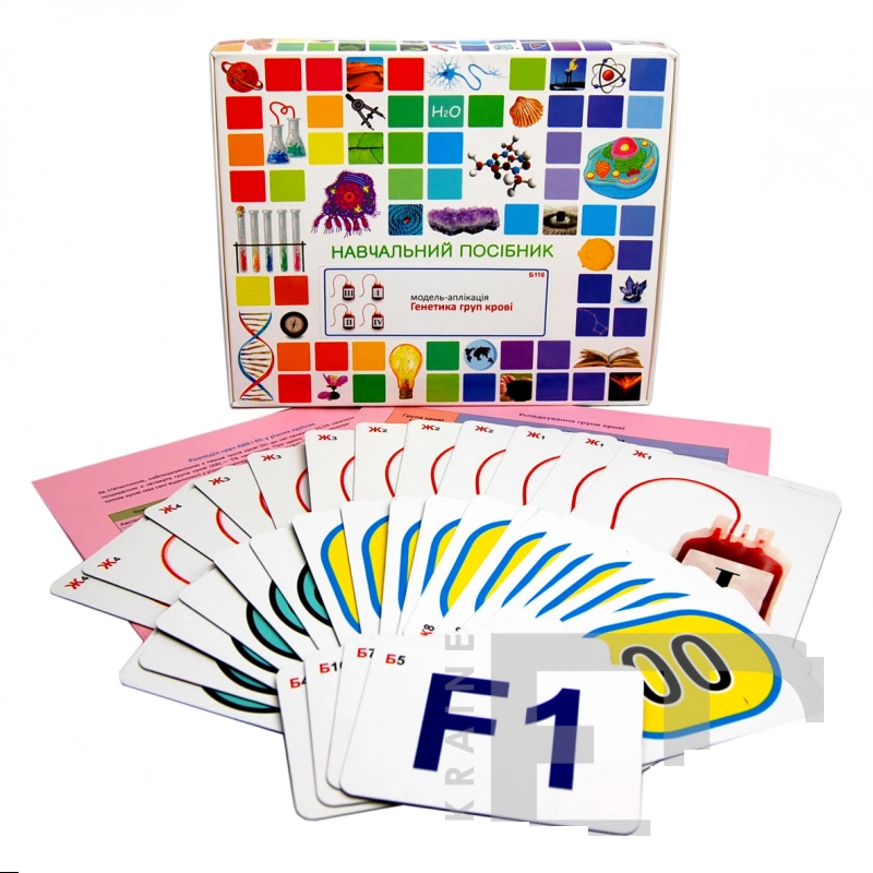 Модель-аплікація Генетика груп крові (магнітне кріплення) Б116