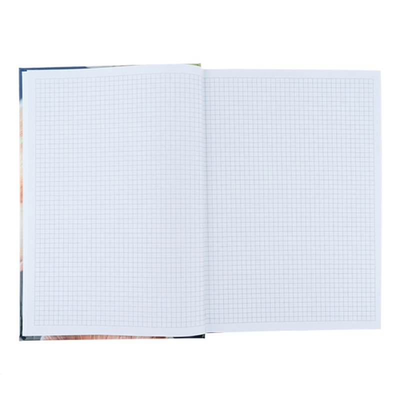 Книга записна А4 Freedom 96арк кліт cіра