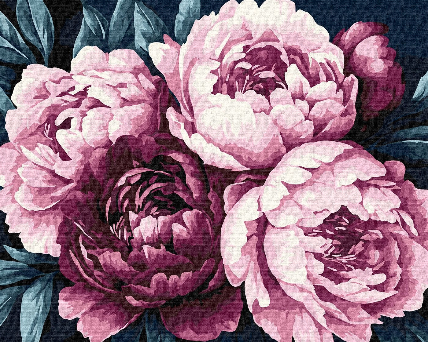 Картини за номерами Ідейка Ніжні пелюстки 40х50см 3306