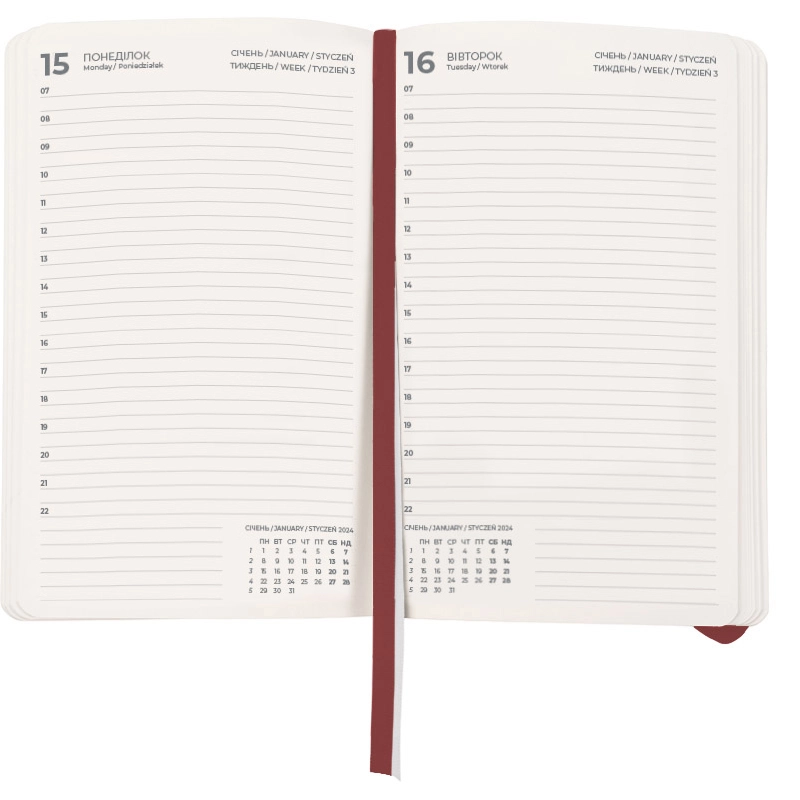 Щоденник Axent 2024 Partner Soft Nuba сливовий 8817-24-58-A