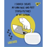 Зошит 24 кл. 1В Love cats*