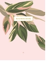 Ділова книга А5 Ficus 96 аркушів клітинка ArtPrint ДК-96-А5# Ділова книга А5 Ficus 96 аркушів клітинка ArtPrint ДК-96-А5#