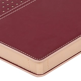 Щоденник А5 датований 2022 Leo Planner Destiny червоний