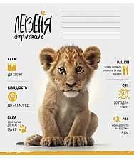 Зошит учнівський 12аркушів у косу лінію Школярик 012-3279С