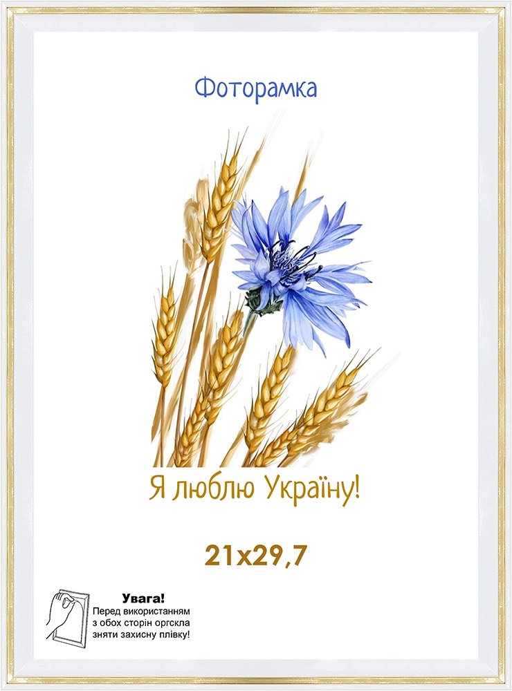 Фоторамка оргскло 21х29,7 біла з золотою смужкою 1613-202-1