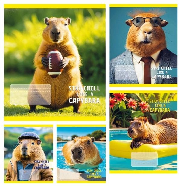 Зошит 24 арк.клітинка Тверда ТА51307 CAPYBARA