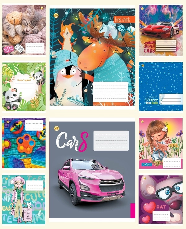 Зошит 12 арк.лінія Тверда Тетрада ТЕ22106 12ЛВ2  МІКС10к.